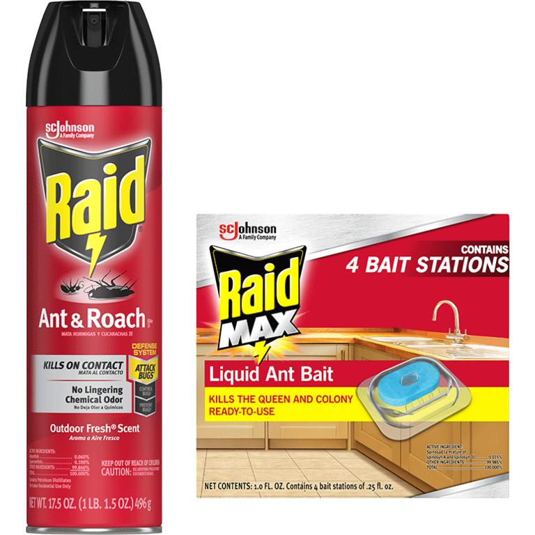RAID®