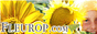 Fleurop coupon codes