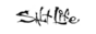 Salt Life coupon codes