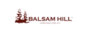 Balsam Hill coupon codes