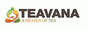 Teavana coupon codes