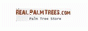 Real Palm Trees coupon codes