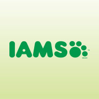 iams coupons $8