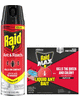 raid