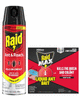 raid