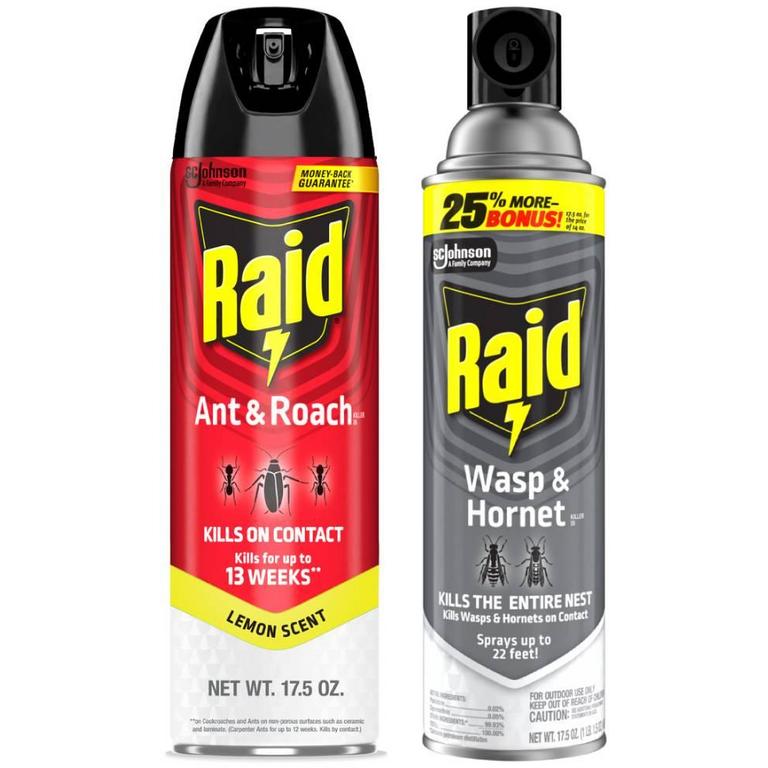on any ONE (1) Raid® Product