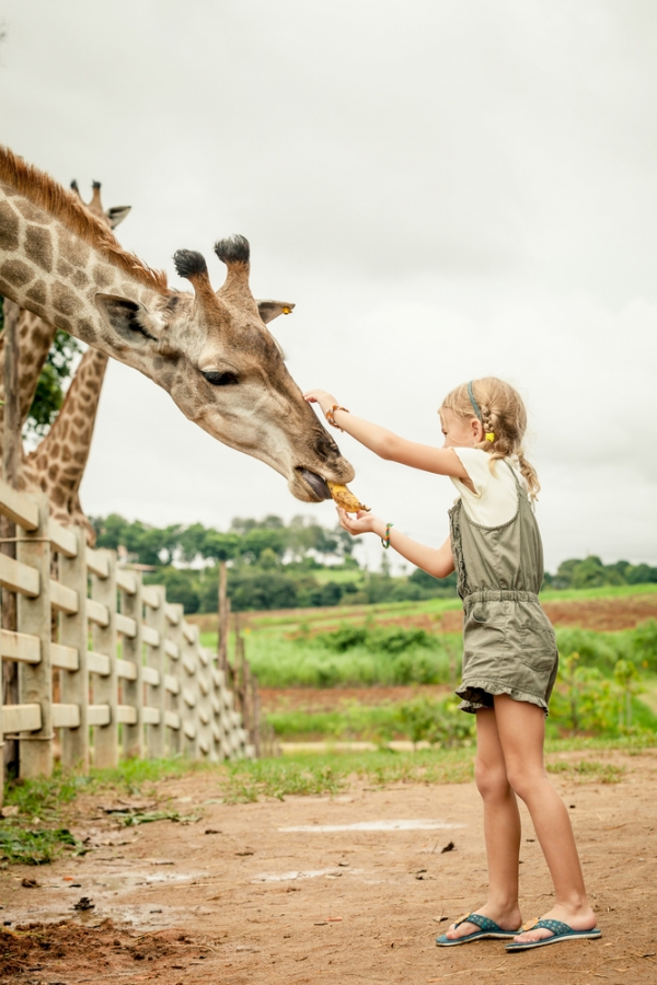 The 8 Best Things to Buy in July thegoodstuff