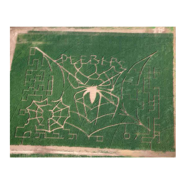 A Corn Maze For Every State 50 MustVisit Corn Mazes thegoodstuff