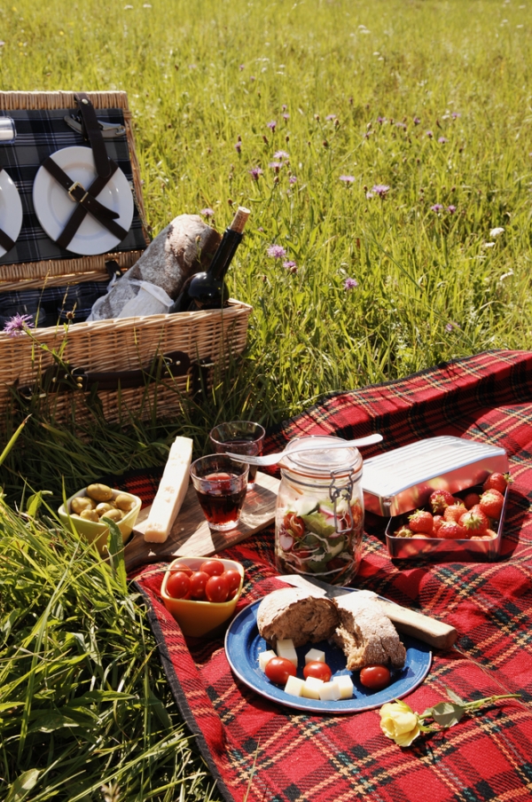 10 Perfect Picnic Recipes & Tips thegoodstuff