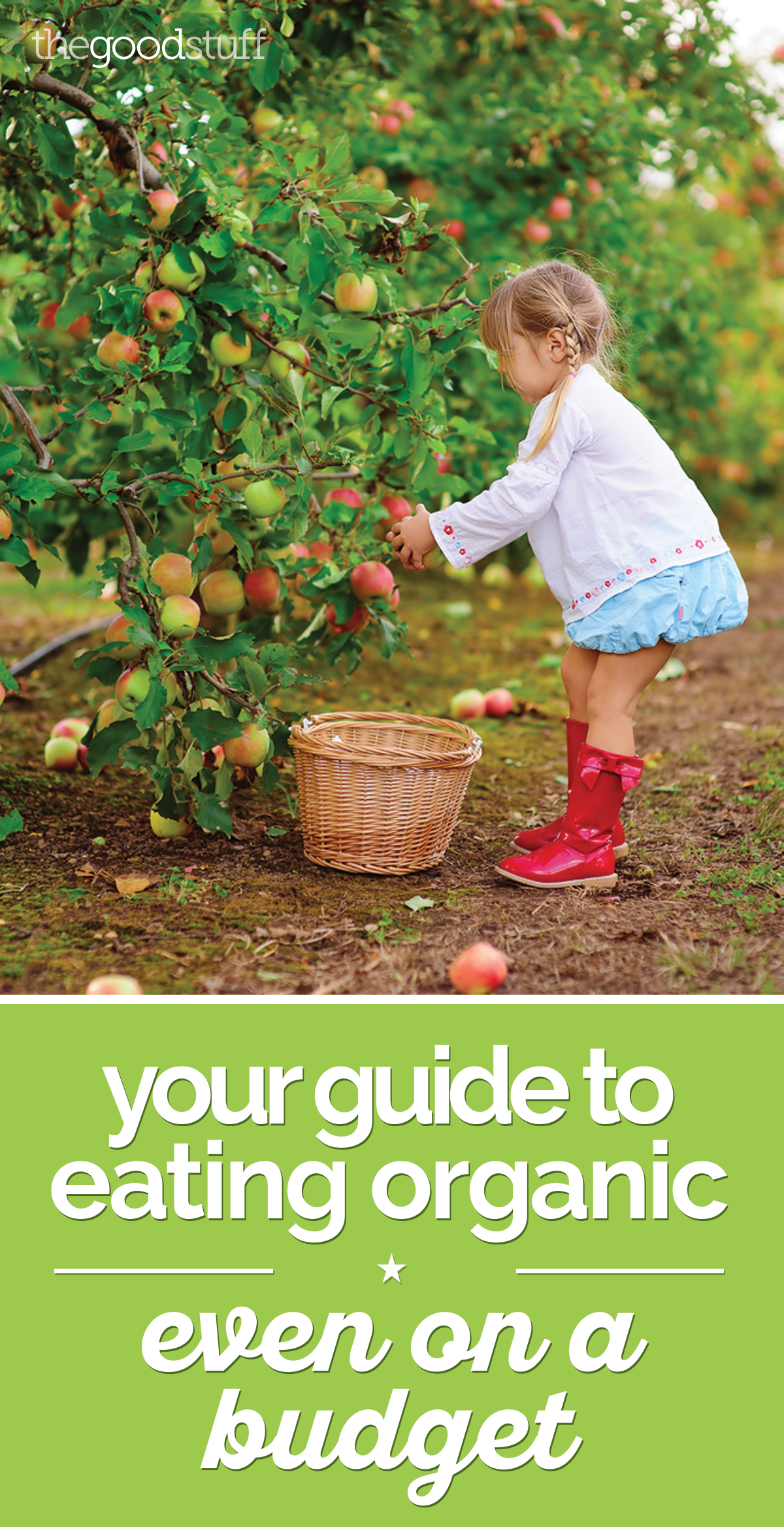 Your Guide to Eating Organic — On a Budget! thegoodstuff